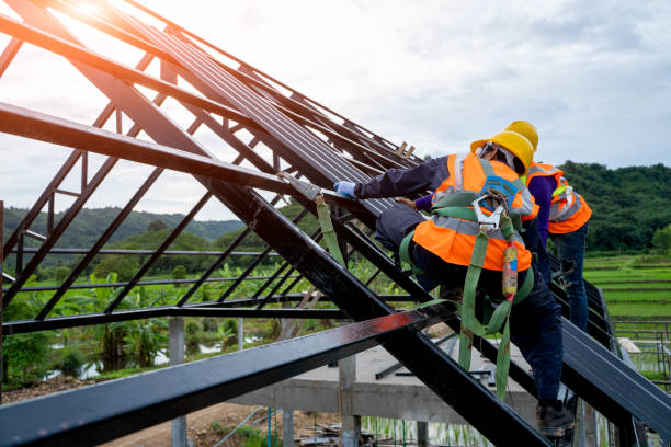 Best Roof Leak Repair  in Muniz, TX