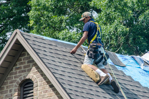 Best Local Roofing Companies  in Muniz, TX